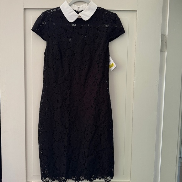 Lauren Ralph Lauren Black Lace Collared Dress - Picture 10 of 13